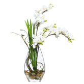 WHITE MINI PHAL WATER LIKE - Hedi's Furniture